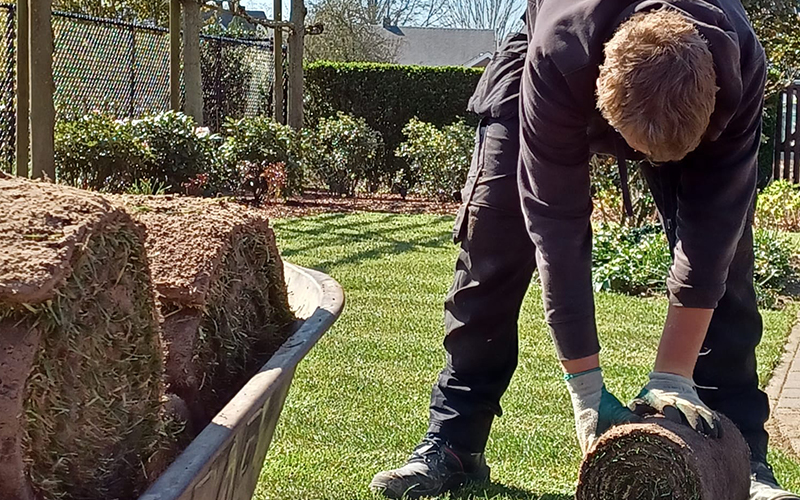 Tuinaanleg met grasmatten voor nieuwbouw achtertuin in Antwerpen